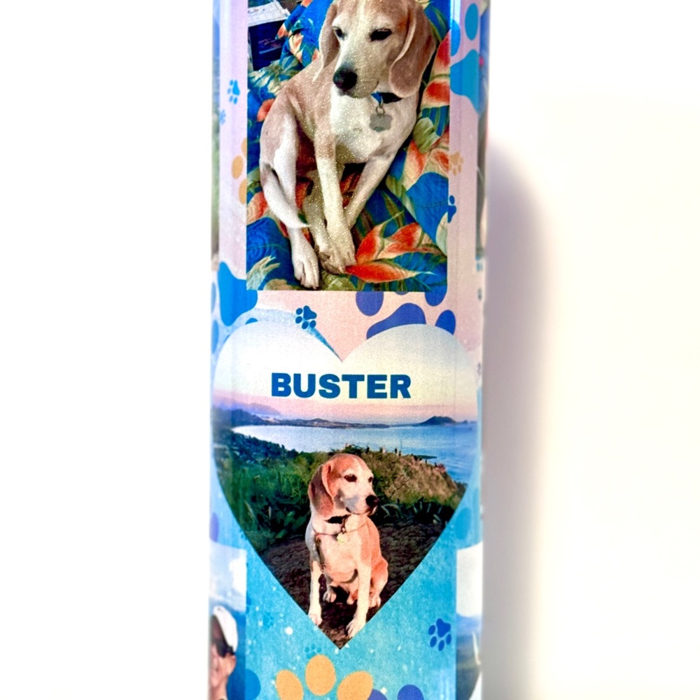 Custom Stainless Steel 20 oz Pet Tumbler